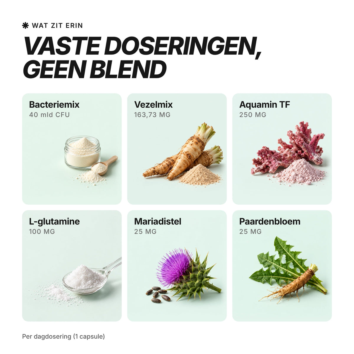 [nl] VIBEFUEL Bacto Formula ingrediënten en dosering