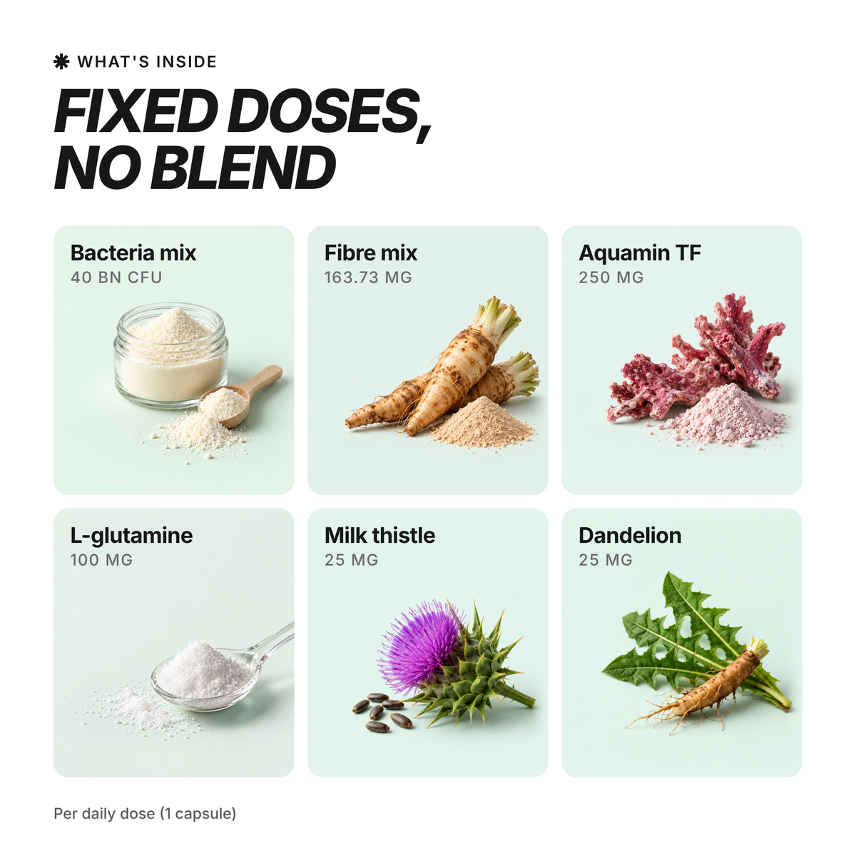 [en] VIBEFUEL Bacto Formula ingredients