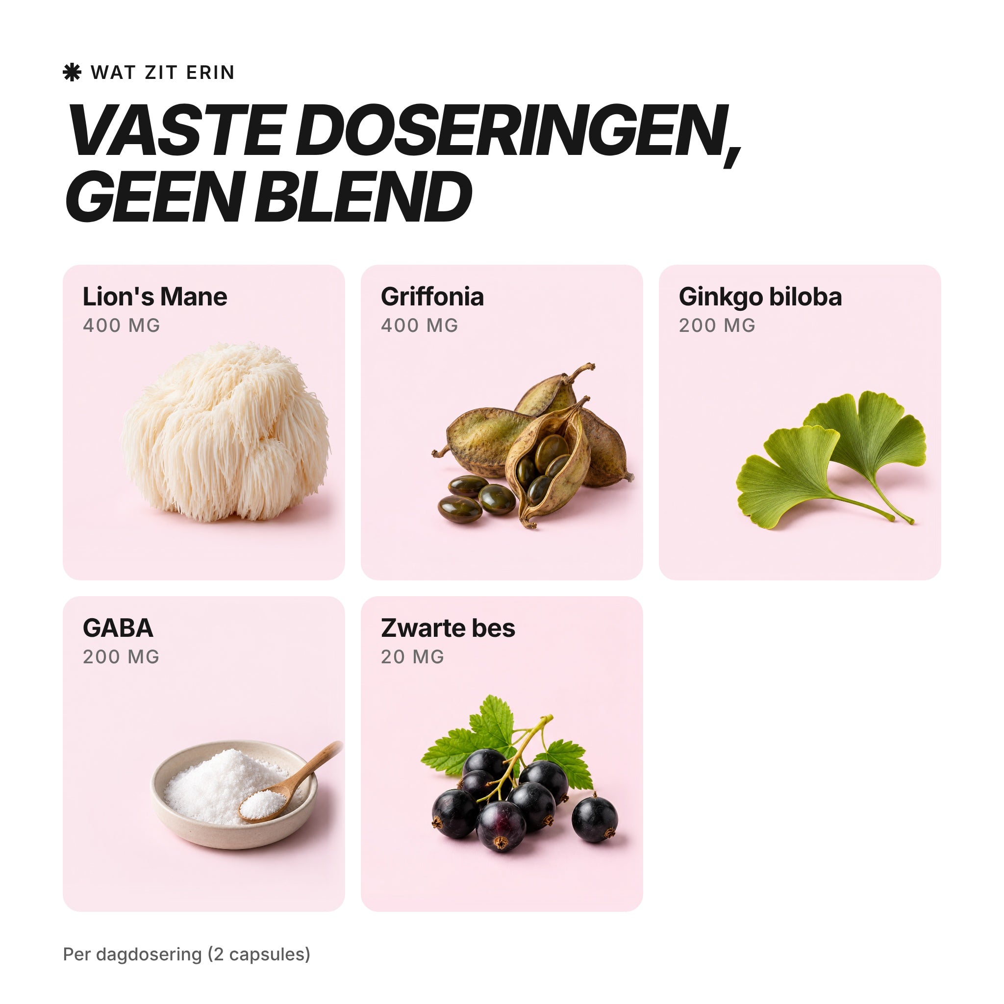 [nl] VIBEFUEL Focus Formula ingrediënten en dosering