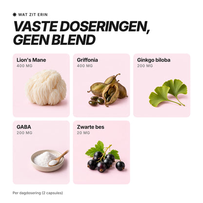 [nl] VIBEFUEL Focus Formula ingrediënten en dosering