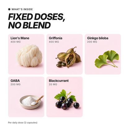 VIBEFUEL Focus Formula ingredients
