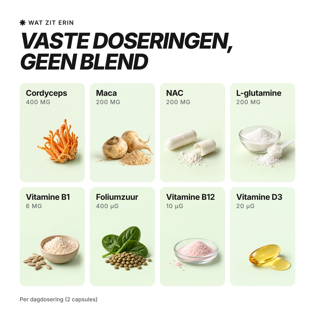 [nl] VIBEFUEL Multi Formula ingrediënten en dosering