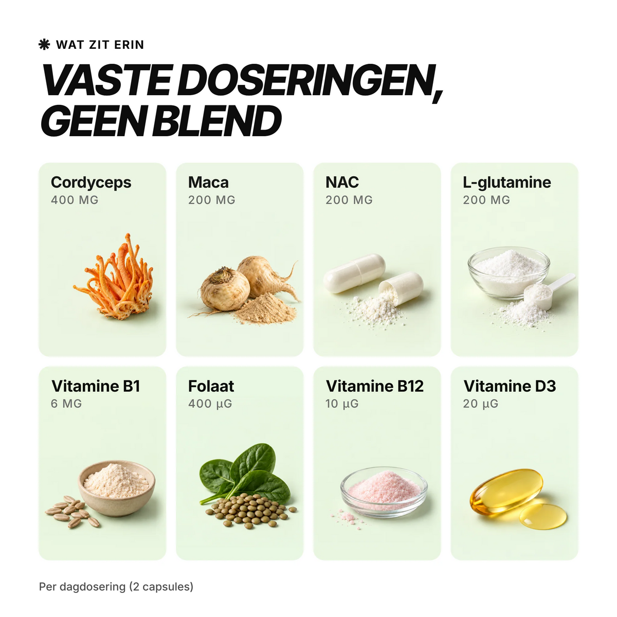 VIBEFUEL Multi Formula ingrediënten