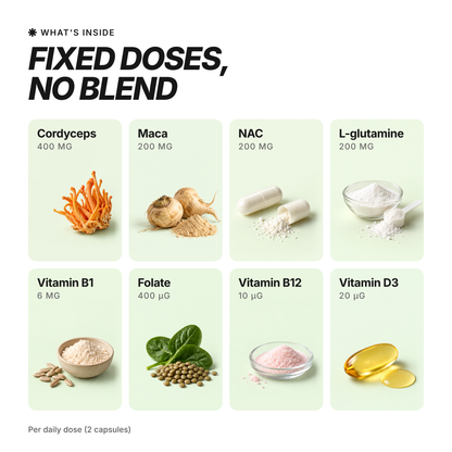 VIBEFUEL Multi Formula ingredients